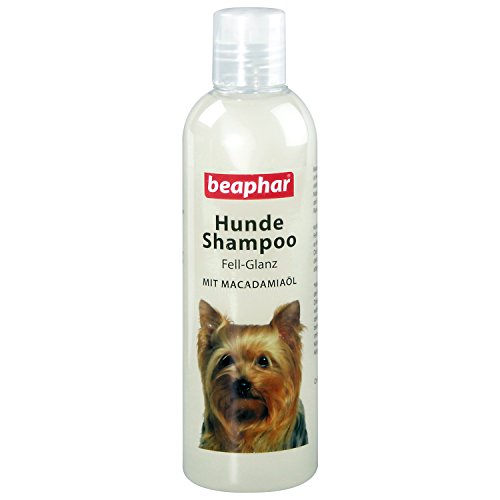 BEAPHAR - Hundeshampoo Fell-Glanz - Für Alle Hunderassen - Hautfreundlich - Mit...