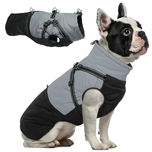 Hjumarayan Hundemantel mit Geschirr, Hundemantel Winter Hundejacke Wasserdicht...